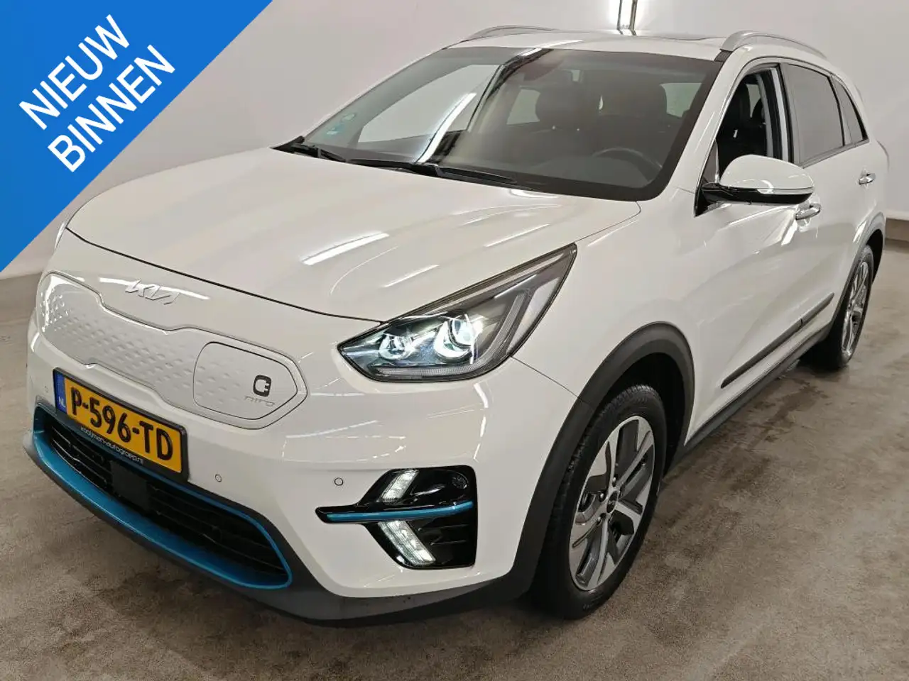 Kia E-Niro DYNAMICPLUSLINE 64 kWh (100% SOH) I TREKHAAK I SCH