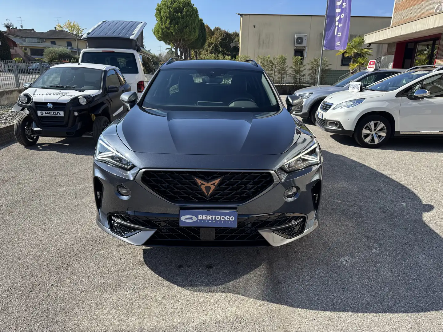 CUPRA Formentor 2.0 tdi 4drive 150cv dsg Gris - 2