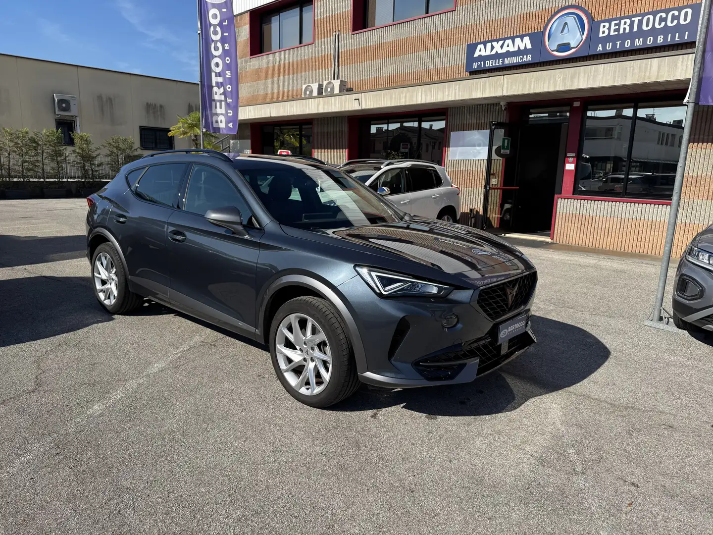 CUPRA Formentor 2.0 tdi 4drive 150cv dsg Gris - 1