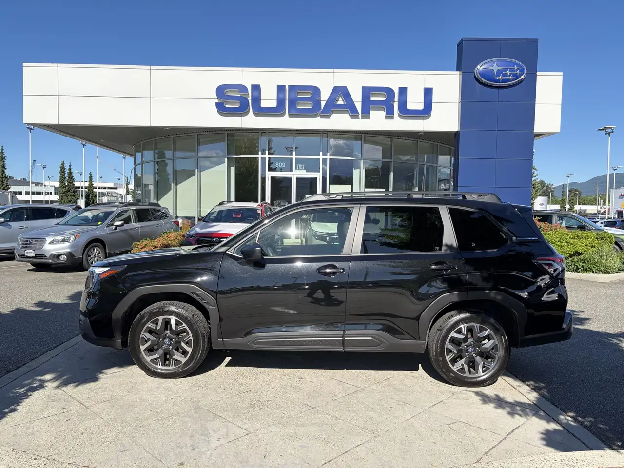 Subaru Forester fotografie Subaru Forester