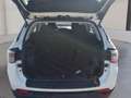Jeep Compass 2,0 MuliJet AWD 6MT 140 Longitude Weiß - thumbnail 11