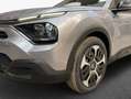 Citroen E-C4 X e-C4 X C4 X Elektro YOU 100 kW Gris - thumbnail 6