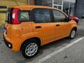 Fiat Panda 1.2 Easy s&s 69cv my19 Orange - thumbnail 3