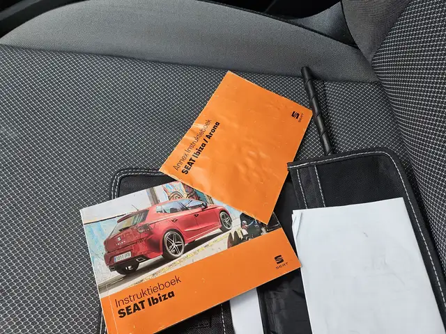 Seat Ibiza view 23