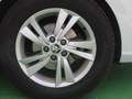 Skoda Fabia 1.0 MPI Ambition 44kW Blanco - thumbnail 10