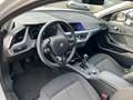BMW 118 i *Kamera Sitzheizung DAB Klima Park Assist* Weiß - thumbnail 9