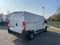 Opel Movano 33 2.2 BlueHDi 140 S&S PM-TN Furgone Bianco - thumbnail 3