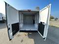 Opel Movano 33 2.2 BlueHDi 140 S&S PM-TN Furgone Bianco - thumbnail 5
