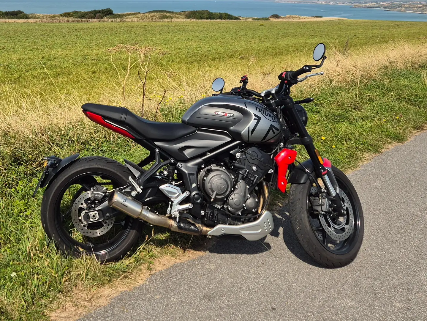 Triumph Trident 660 Gri - 1