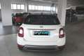 Fiat 500X 500X 1.0 t3 Cross 120cv Bianco - thumbnail 5
