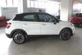 Fiat 500X 500X 1.0 t3 Cross 120cv Bianco - thumbnail 6
