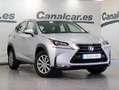 Lexus NX 300 300h Business Navigation 2WD Argent - thumbnail 3