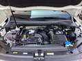 Volkswagen Tiguan Life 1.5 TSI DSG AHK NAV KAM LED ACC PDC 4xSHZ Weiß - thumbnail 13