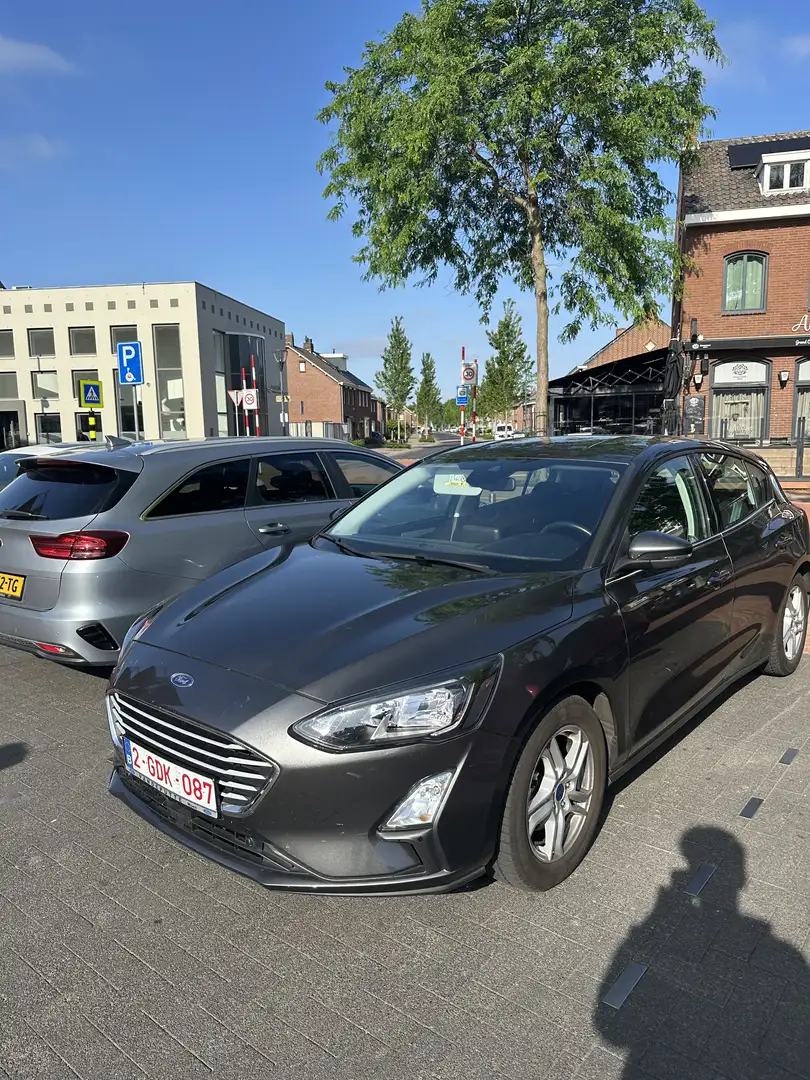 Ford Focus Gris - 1