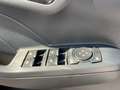 Ford Kuga 2.0 MHEV ST-Line Winter-P|Kamera|KeyFree Noir - thumbnail 10