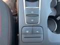 Ford Kuga 2.0 MHEV ST-Line Winter-P|Kamera|KeyFree Noir - thumbnail 19