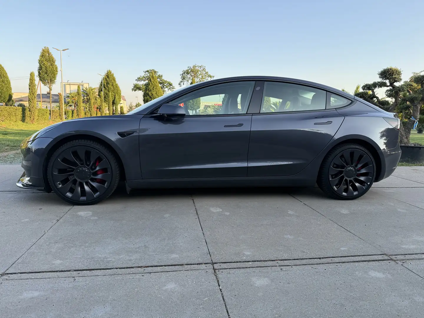 Tesla Model 3 Tesla Model 3 Performance Dual Motor - 2