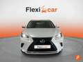 Lexus NX 300 2.5 300h Business Navigation 2WD Alb - thumbnail 1