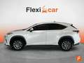 Lexus NX 300 2.5 300h Business Navigation 2WD Alb - thumbnail 3