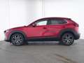 Mazda CX-30 M Selection HeadUp|Navi|CarPlay|Kamera|LED Rouge - thumbnail 9