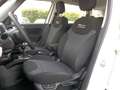 Fiat 500L 500L1.3 mjt Business 95cv my19 Bianco - thumbnail 7