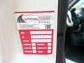 Fiat 500L 500L1.3 mjt Business 95cv my19 Bianco - thumbnail 8