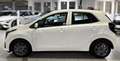 Kia Picanto 1.0 Vision *RFK* *SHZ* *LHZ* Navi* Weiß - thumbnail 4