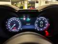 Alfa Romeo Tonale My24 Hybrid 160cv Sprint Blau - thumbnail 19