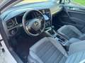 Volkswagen Golf 1.6 TDI 115 CV 5p. Highline BlueMotion Technology Bianco - thumbnail 6