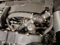Maserati Sebring 3500 GT / I Blanco - thumbnail 12