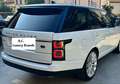 Land Rover Range Rover VOGUE 3.0 TDV6 Turbodiesel Bianco - thumbnail 6