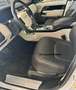 Land Rover Range Rover VOGUE 3.0 TDV6 Turbodiesel Bianco - thumbnail 9