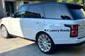 Land Rover Range Rover VOGUE 3.0 TDV6 Turbodiesel Bianco - thumbnail 7