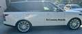 Land Rover Range Rover VOGUE 3.0 TDV6 Turbodiesel Bianco - thumbnail 5