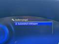 Ford Focus Traveller ST-Line X *AHK, LED, 18", SHA, RFK, TWA* Grau - thumbnail 25