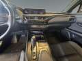 Lexus UX 300e Luxury M&L/LEDER/360 Grün - thumbnail 12