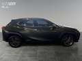 Lexus UX 300e Luxury M&L/LEDER/360 Grün - thumbnail 7