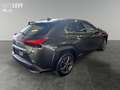Lexus UX 300e Luxury M&L/LEDER/360 Grün - thumbnail 6