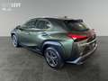 Lexus UX 300e Luxury M&L/LEDER/360 Grün - thumbnail 4