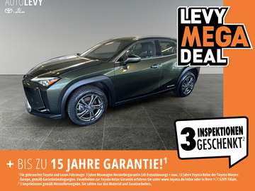 Luxury Paket *Leder*