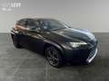 Lexus UX 300e Luxury M&L/LEDER/360 Grün - thumbnail 8