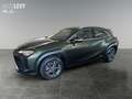 Lexus UX 300e Luxury M&L/LEDER/360 Grün - thumbnail 2
