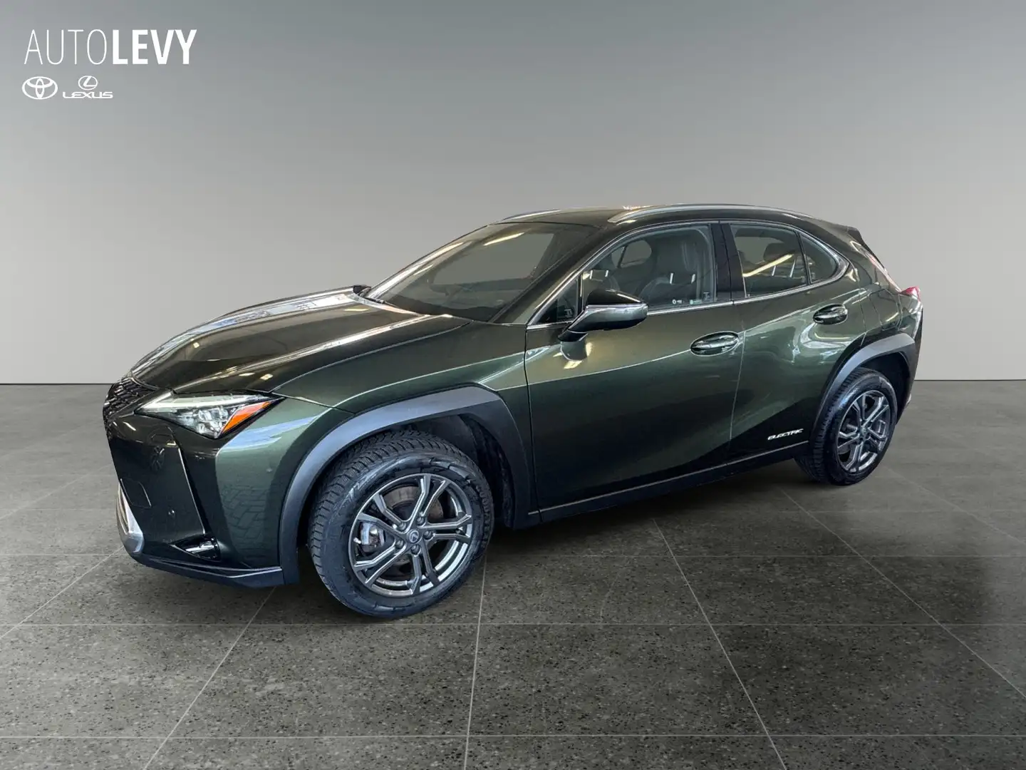 Lexus UX 300e Luxury M&L/LEDER/360 Grün - 2