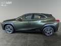 Lexus UX 300e Luxury M&L/LEDER/360 Grün - thumbnail 3