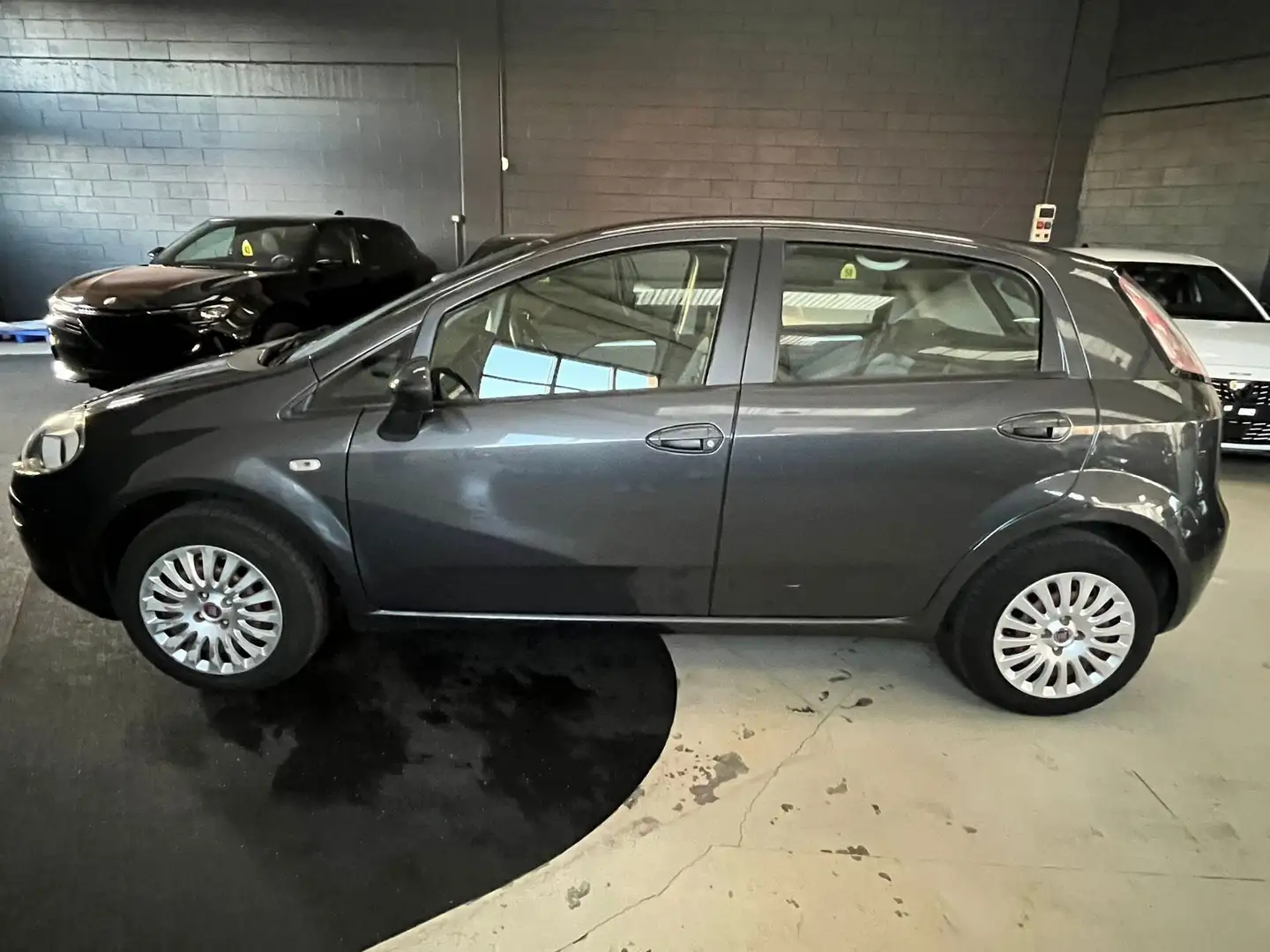 Fiat Punto Evo Punto Evo 1.4 5 porte Dynamic Grau - 2