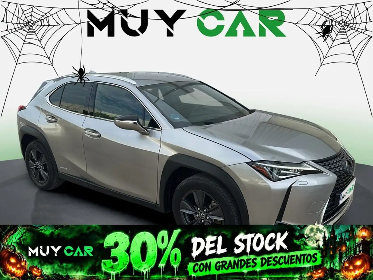 Lexus UX 250h