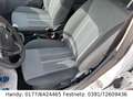 Ford Fiesta 1,25 KLIMA/el.FH/ZV mit FB/ALUFELGEN/ Weiß - thumbnail 9