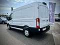 Ford Transit Transit Kasten Trend 2,0 EcoBlue HD L2H2 350 | ... Weiß - thumbnail 4