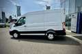 Ford Transit Transit Kasten Trend 2,0 EcoBlue HD L2H2 350 | ... Weiß - thumbnail 5