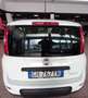 Fiat Panda 1.0 FireFly S&S Hybrid City Life Blanco - thumbnail 2